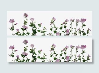 清新紫色花朵免抠