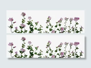 清新紫色花朵免抠