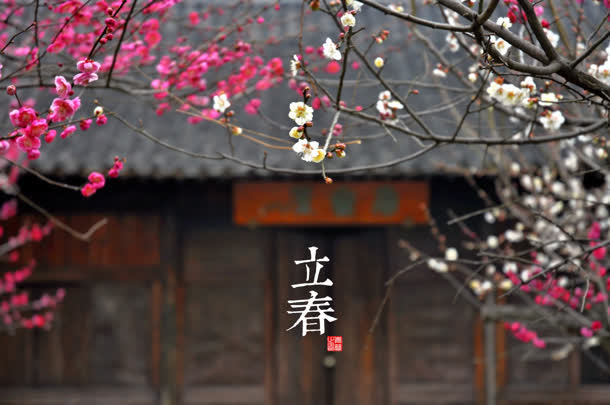 立春粉色桃花房子免抠