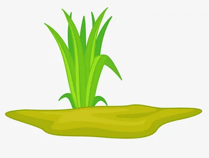 卡通土地小草免抠图免抠