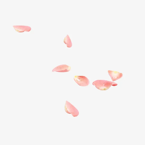 漂浮花瓣免抠