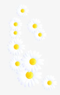 矢量小菊花免抠 矢量小菊花免抠