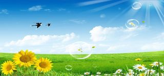 春季风景图高清