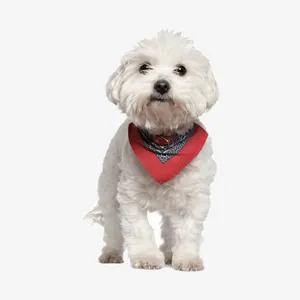 白色宠物犬免抠