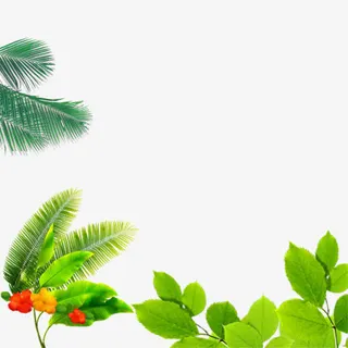 多种树叶素材免抠