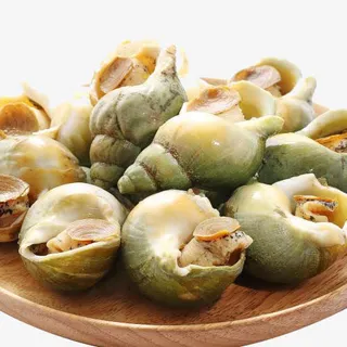 加拿大野生翡翠螺免抠