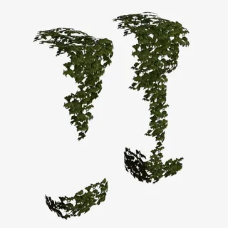 两个满墙绿色垂吊植物免抠