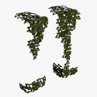 两个满墙绿色垂吊植物免抠