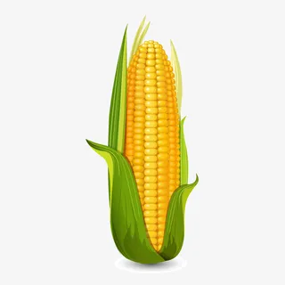 矢量高清食材玉米棒元素免抠手绘/卡通卡通元素 矢量高清食材玉米棒元素免抠手绘/卡通卡通元素