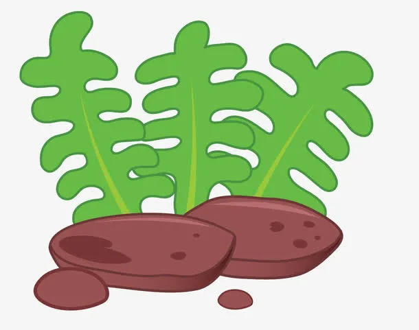 卡通手绘绿色珊瑚免抠
