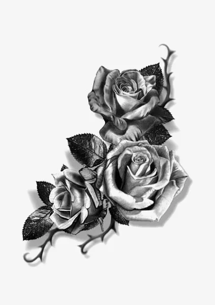 素描玫瑰免抠