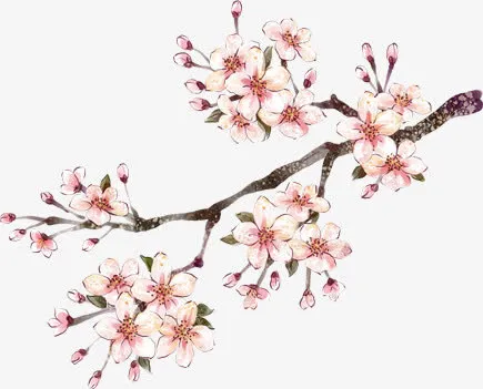 手绘桃花展板设计免抠