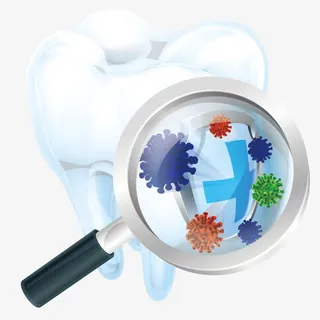 拿着放大镜的牙齿免抠