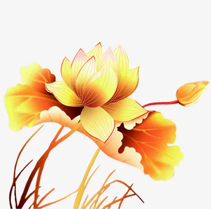 金色手绘荷花七夕情人节免抠
