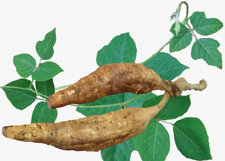 葛根免抠