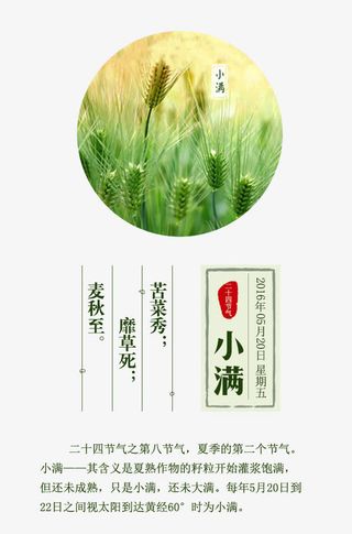 二十四节气之小满免抠