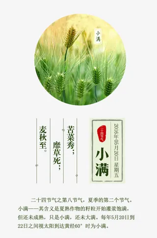 二十四节气之小满免抠