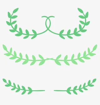 春天绿色树叶枝条免抠