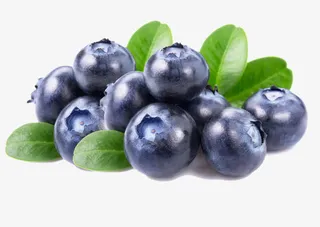 黑加仑水果叶子免抠