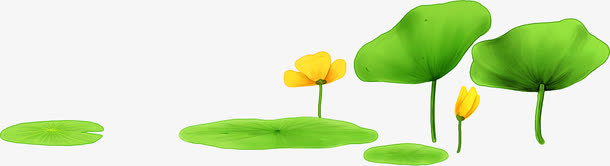 手绘绿色夏季荷叶花朵插图免抠