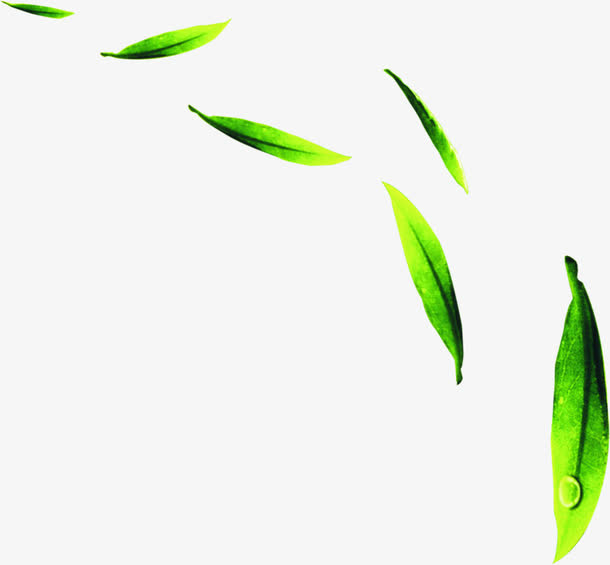 绿色清新茶叶露珠免抠