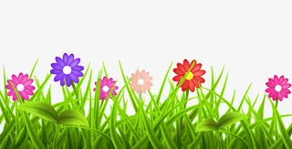 春天鲜花草丛素材免抠