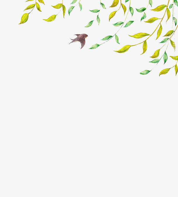 绿色树叶免抠