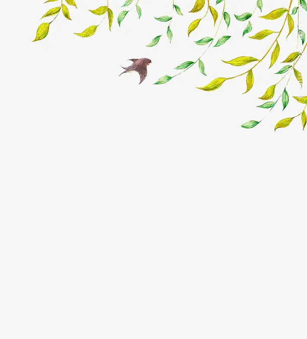绿色树叶免抠