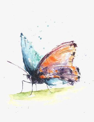 水彩蝴蝶免抠
