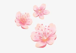 桃花花朵手绘元素图免抠手绘/卡通手绘元素