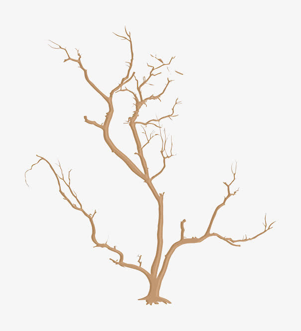 卡通枯树免抠
