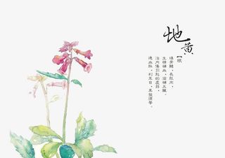 手绘中医中药素材免抠