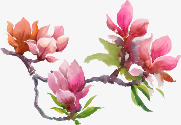 水彩玉兰花免抠