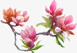 水彩玉兰花免抠