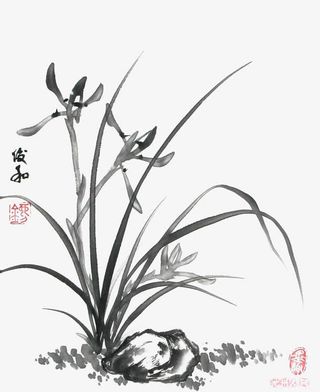水墨兰花免抠