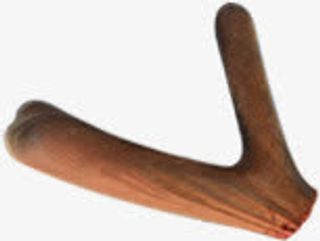 鹿角枝杈中秋药材免抠