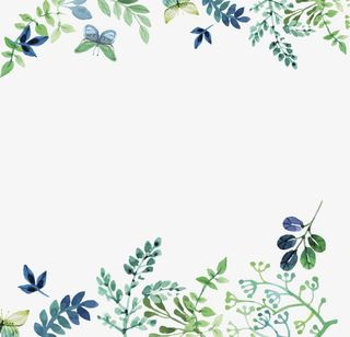 手绘小清新树叶免抠