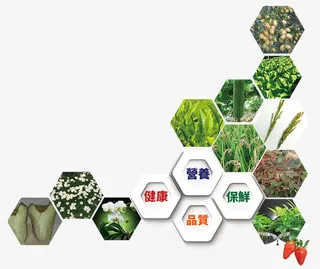 绿色的营养品免抠