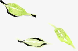 绿色水墨艺术树叶春天免抠