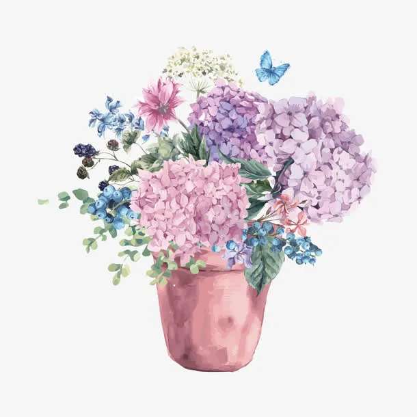 手绘花卉免抠