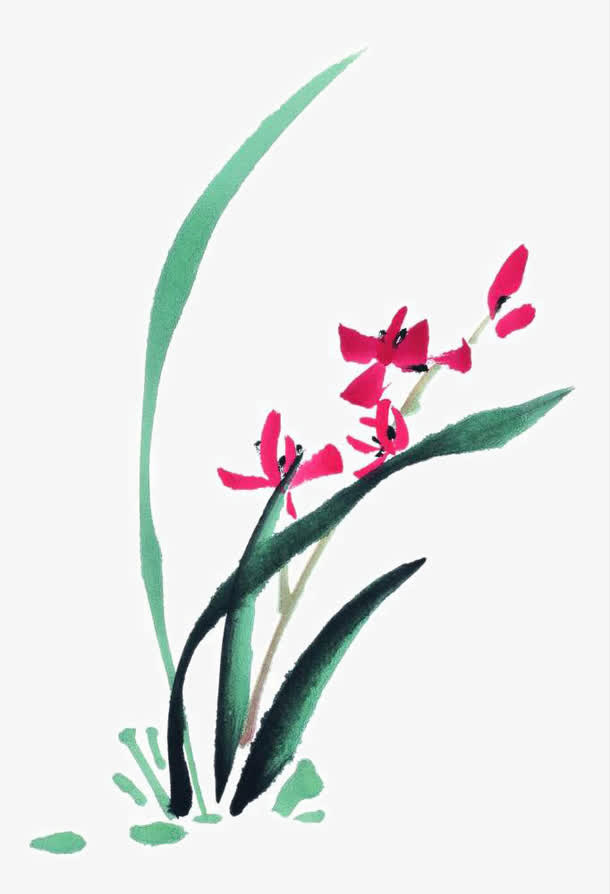 兰草免抠