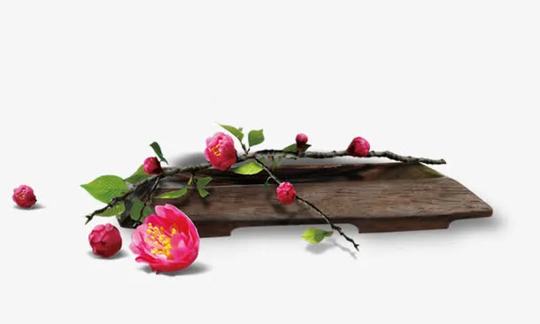案板花朵免抠