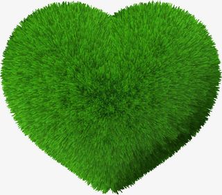 高清草地植物创意爱心免抠