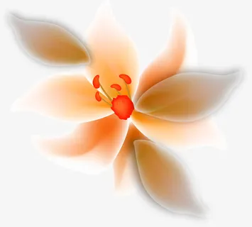 春天美丽花朵底纹免抠