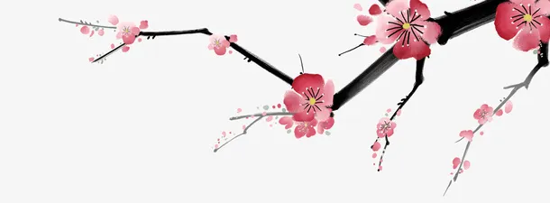 梅花树枝元素免抠