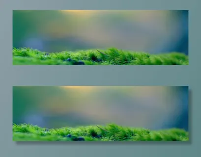 绿色背景高清 绿色背景高清