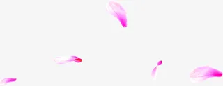 粉紫色飘落的花瓣中秋免抠