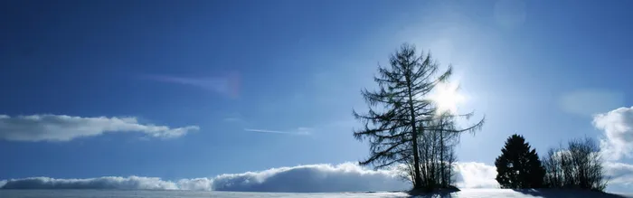雪景背景图高清