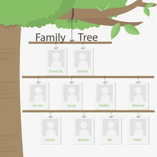 矢量相框树挂在树枝上免抠