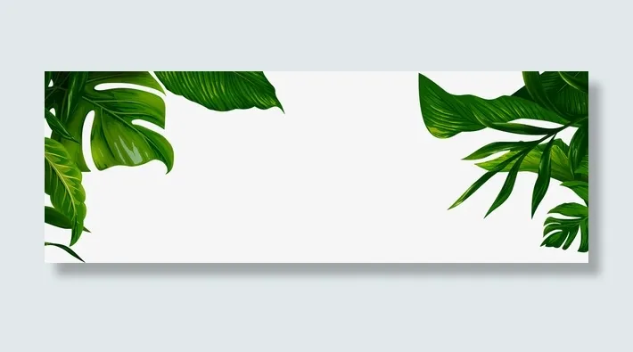 绿色的叶子点缀免抠